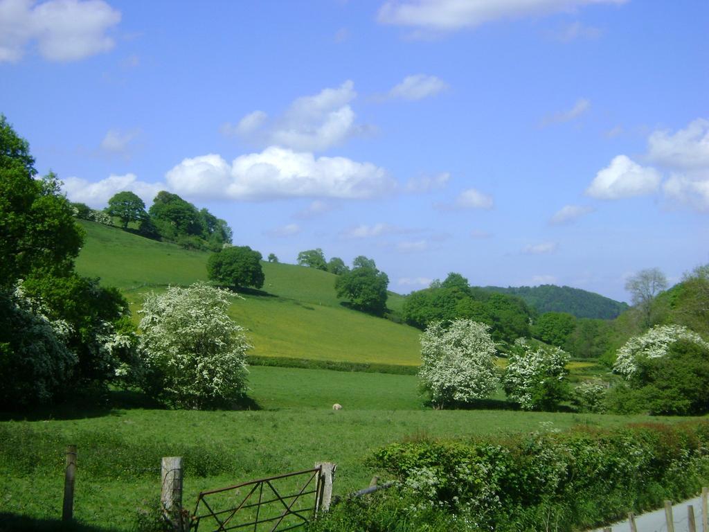 The Forest Country House B&B Newtown  Buitenkant foto