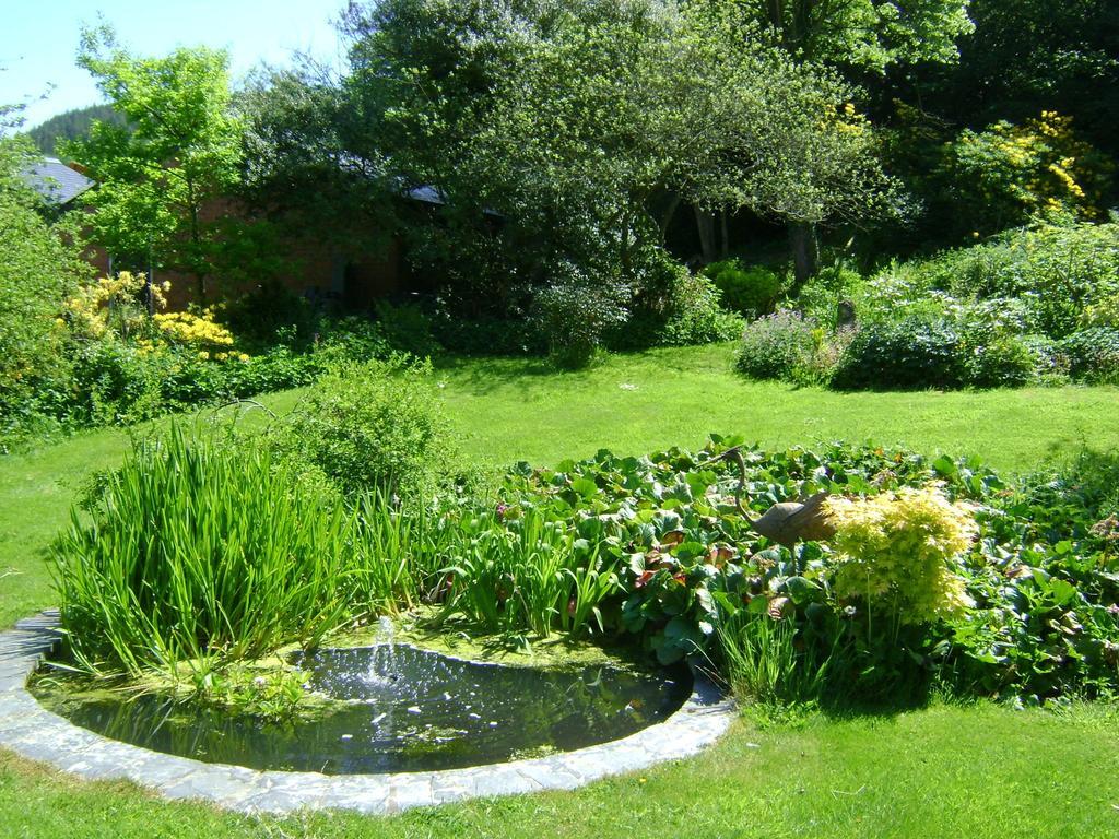 The Forest Country House B&B Newtown  Buitenkant foto