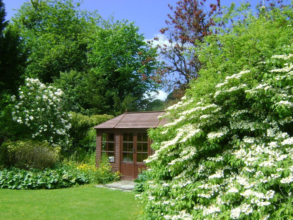 The Forest Country House B&B Newtown  Buitenkant foto