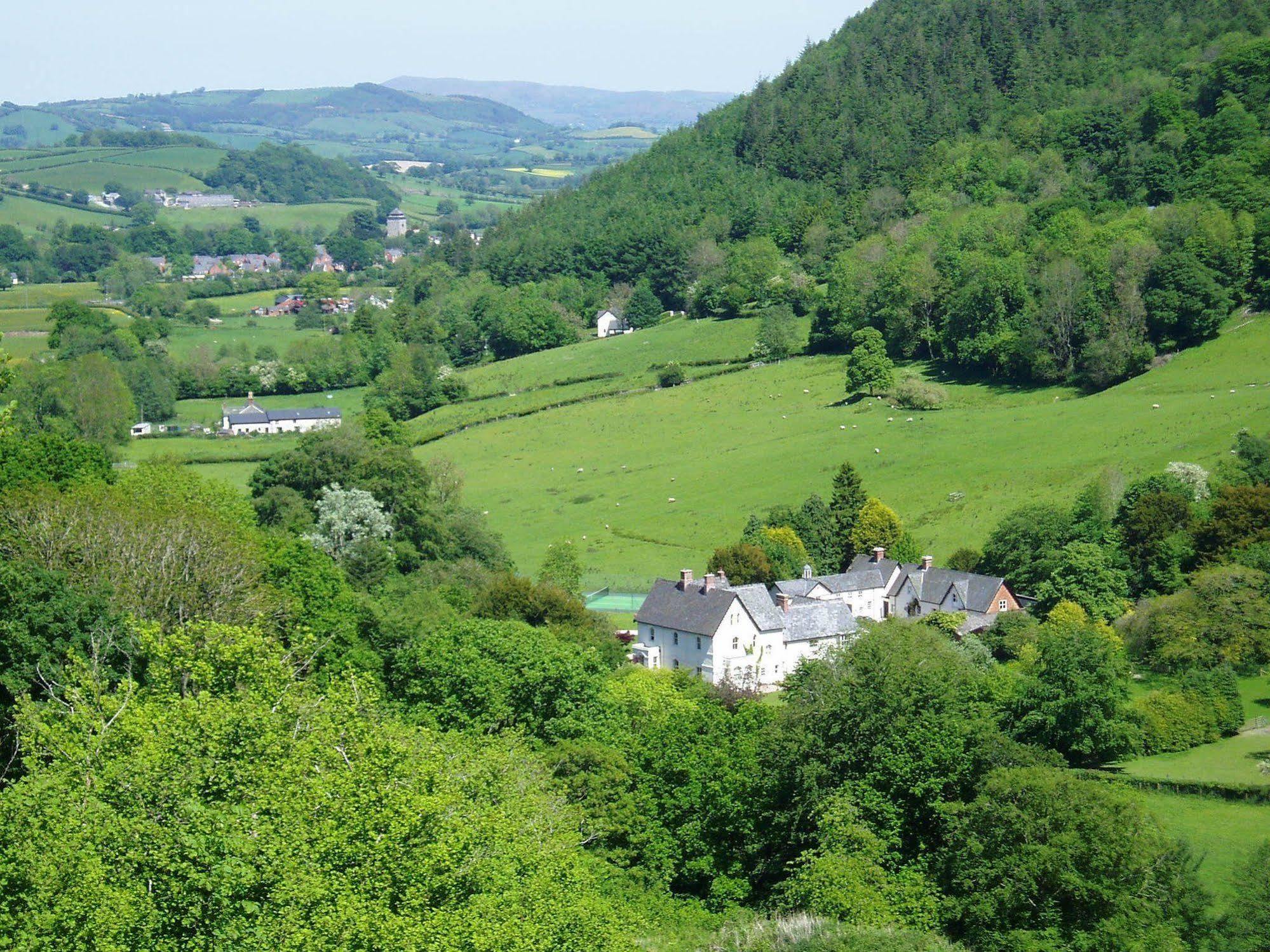 The Forest Country House B&B Newtown  Buitenkant foto